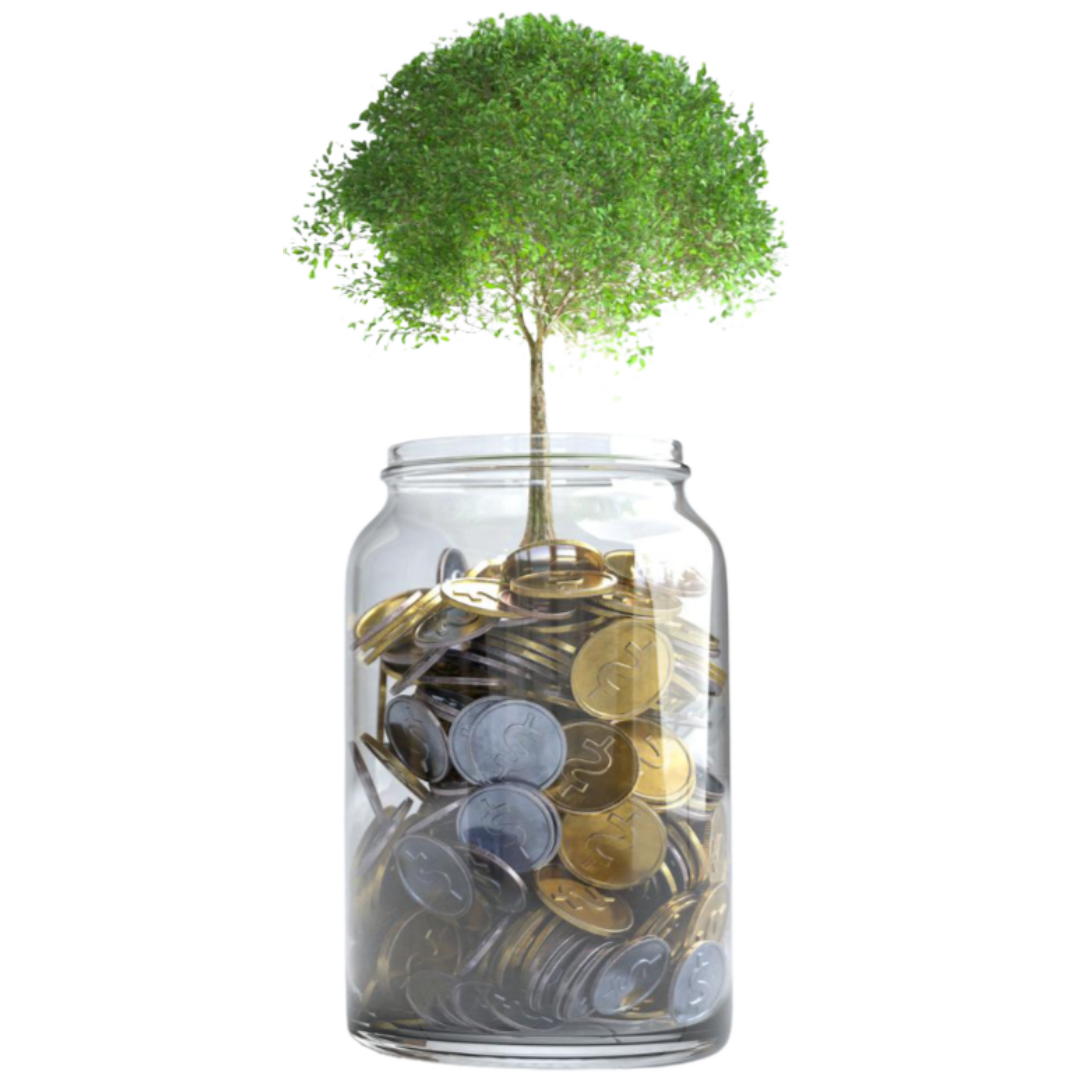 توفير التكاليف محاسب عن بعد